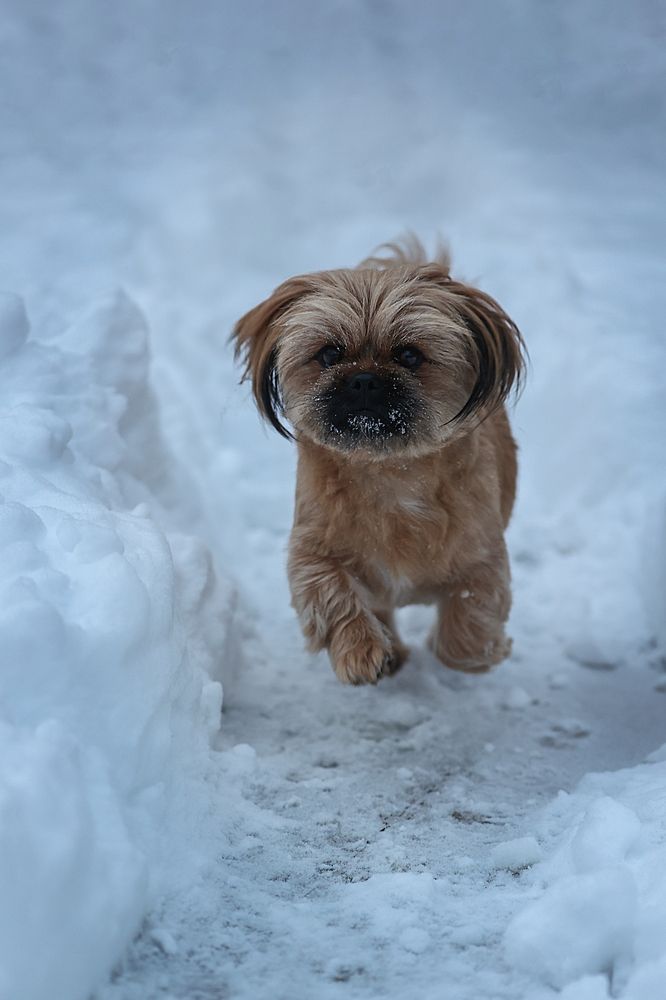 Фотография автора Анна Абрамова