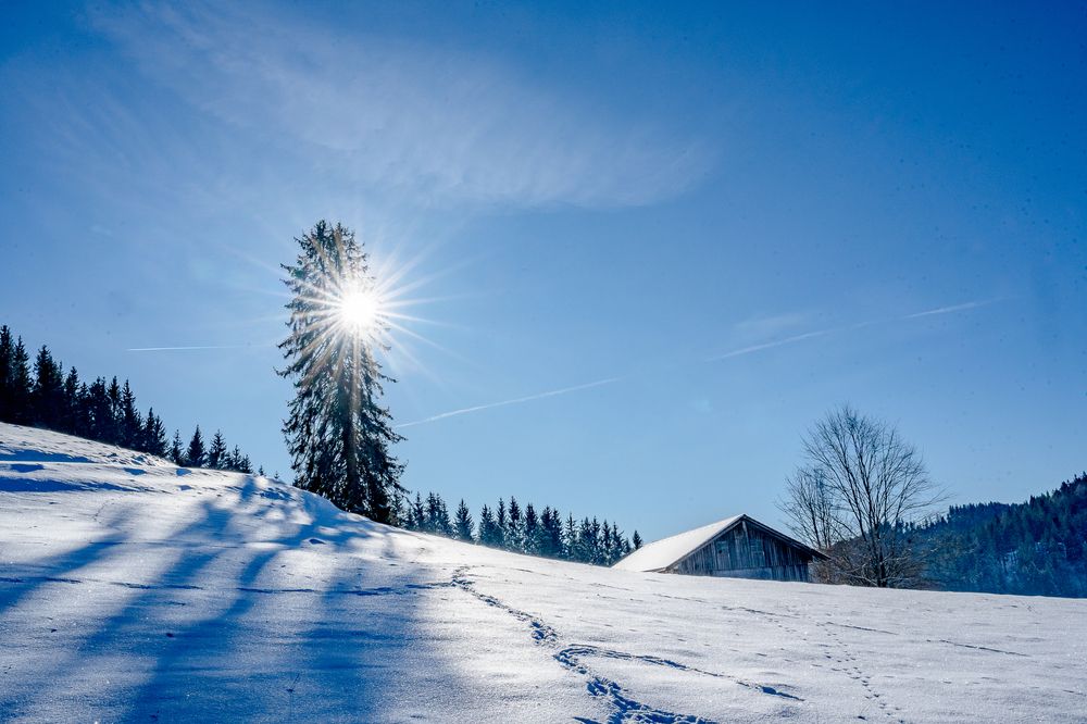 Photograph by Olga Tenigina