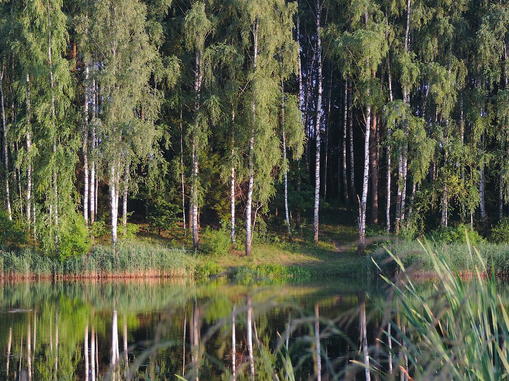 Photograph by Арсений Решетовский