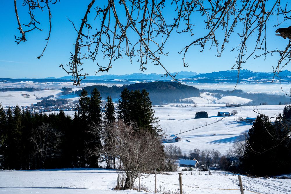 Photograph by Olga Tenigina