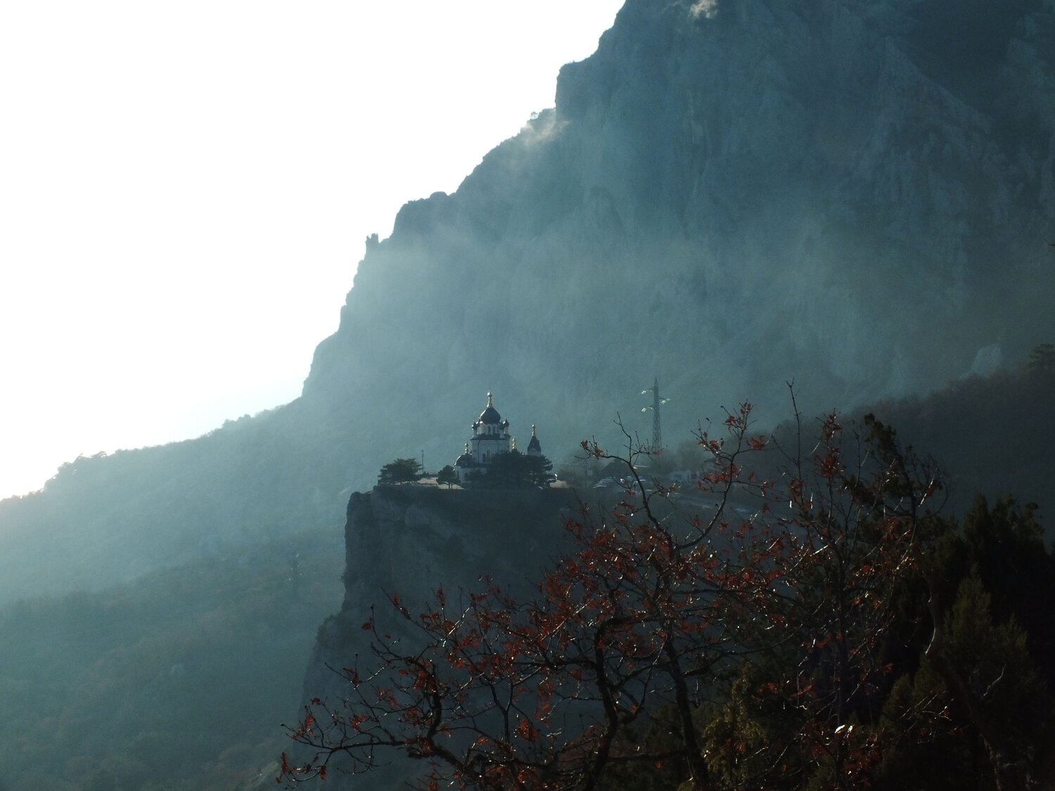 Photo #11810925