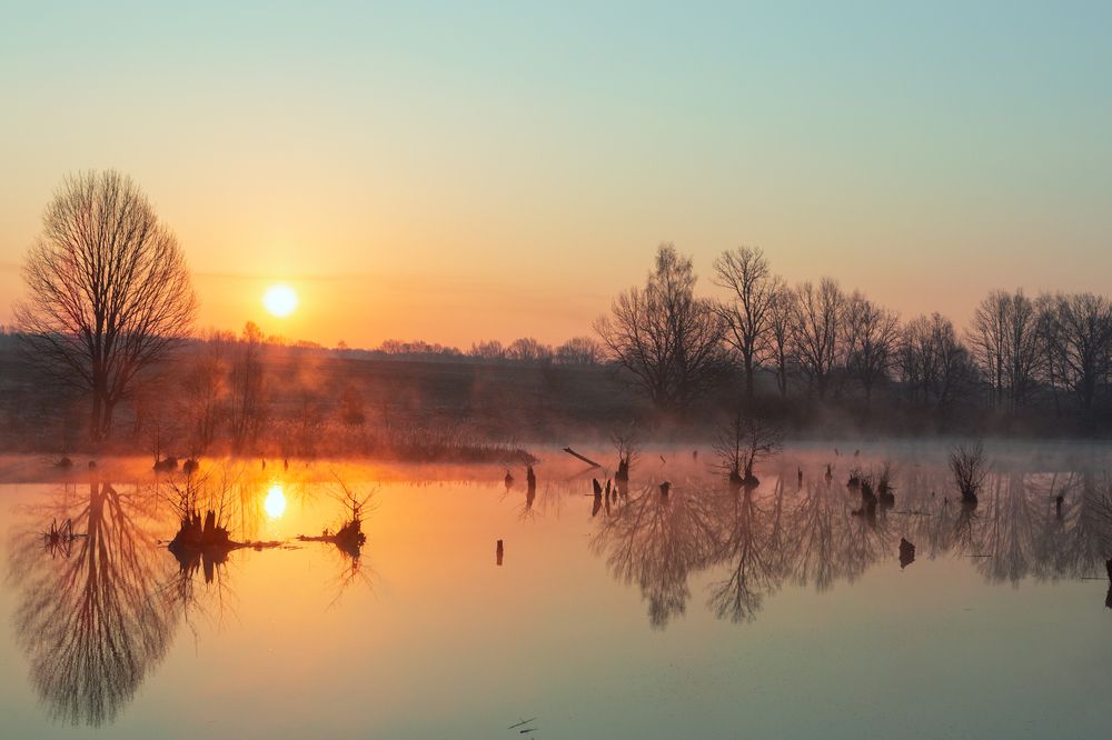 Фотография автора Наталья Дороднова