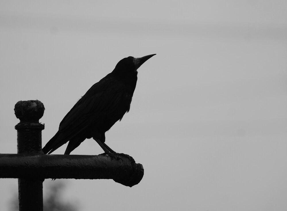 Photograph by Андрей Кореняк