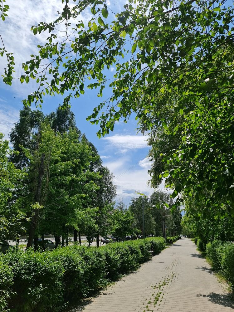 Photograph by Олег Валюнин