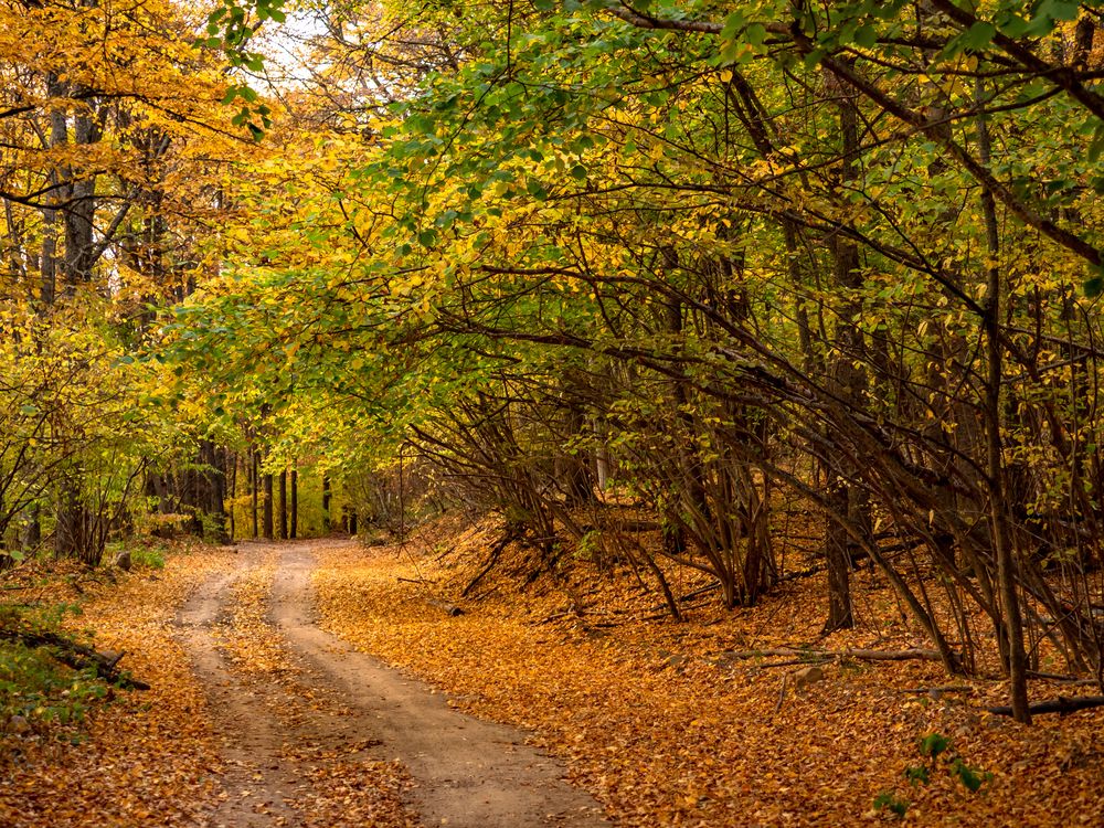 Фотография автора Alec Golibroda