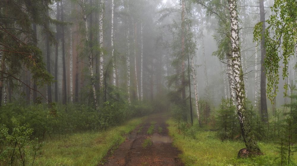 Photograph by Ильгиз Таипов