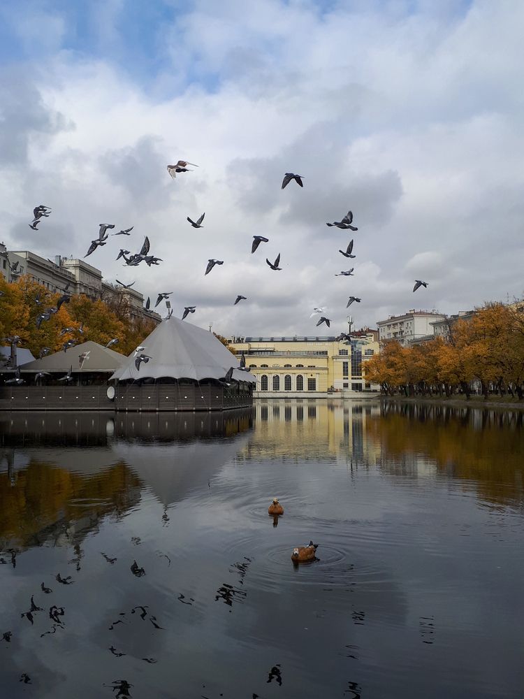 Photograph by Жанна Агафонова