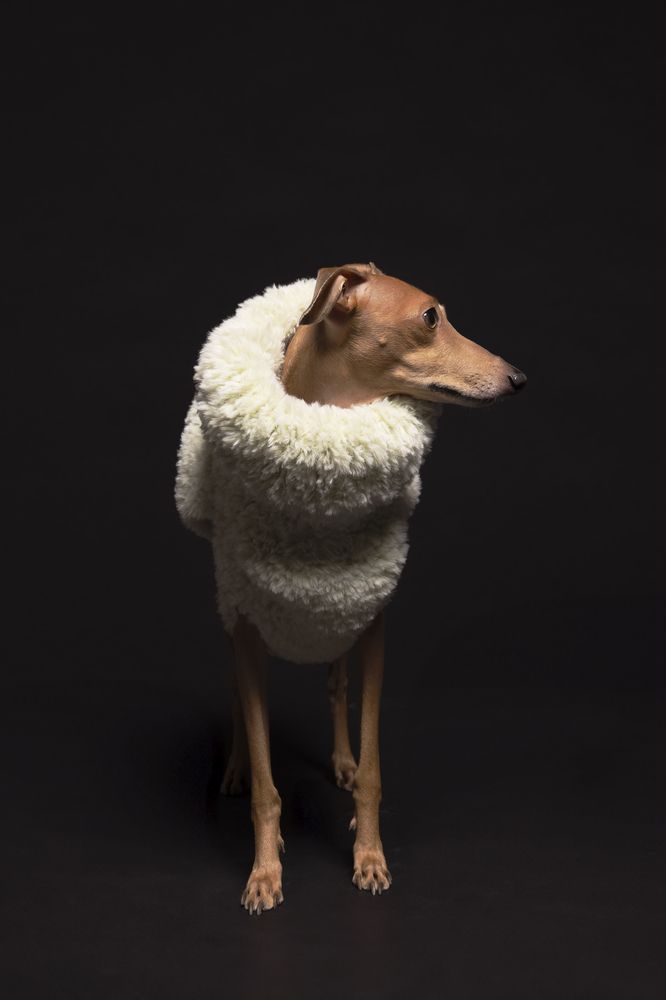 Photograph by Jennifer Yersin