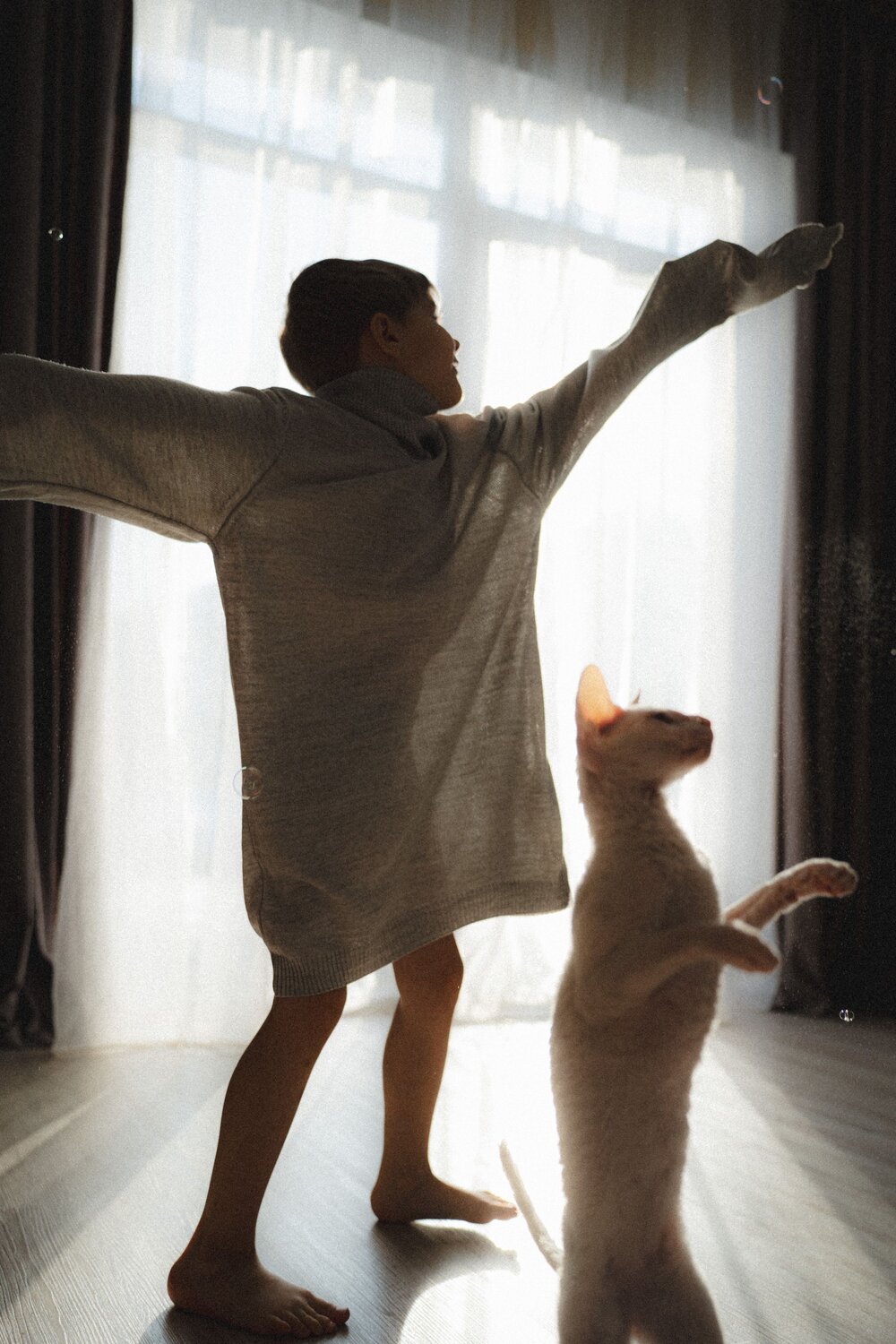 Photo #11810952