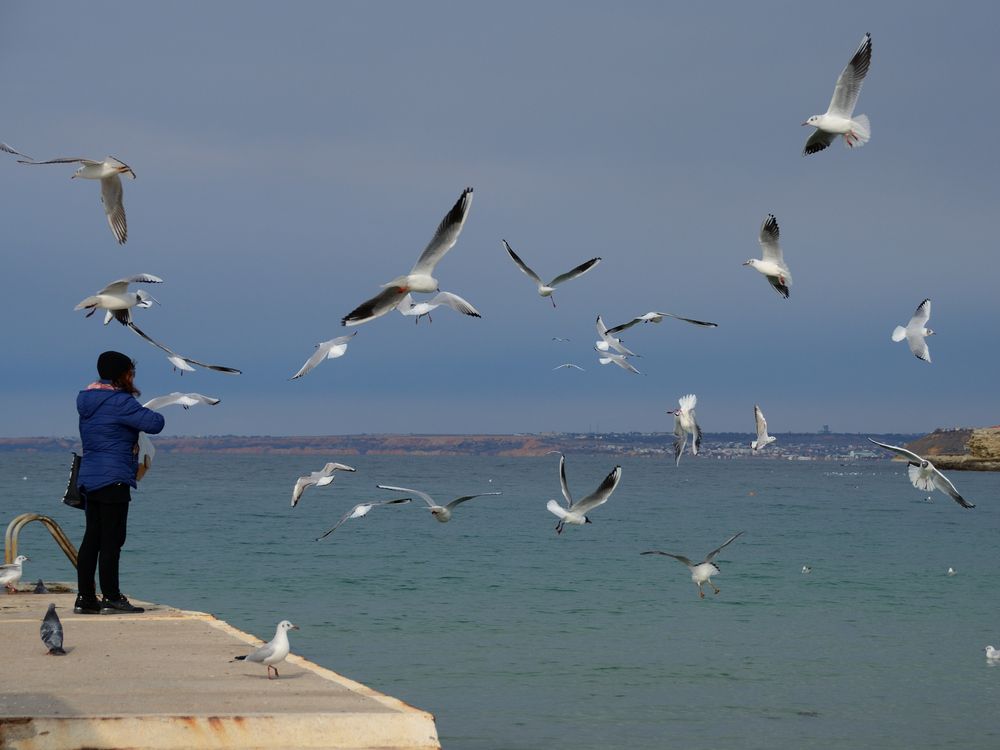 Фотография автора Батюков Алексей