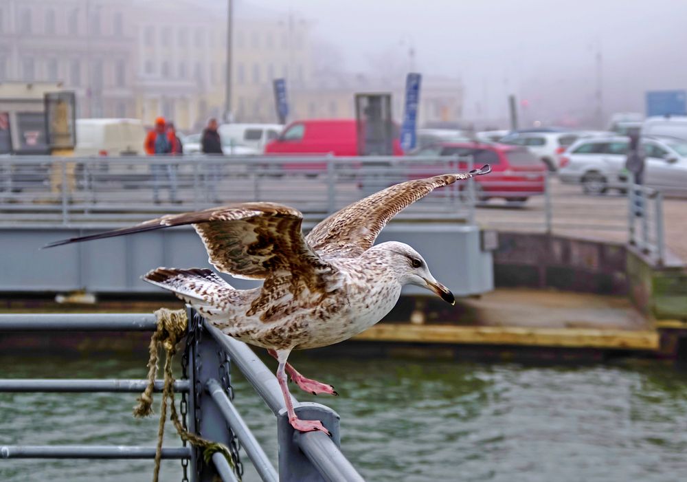 Photograph by Gennadiy Slezkin
