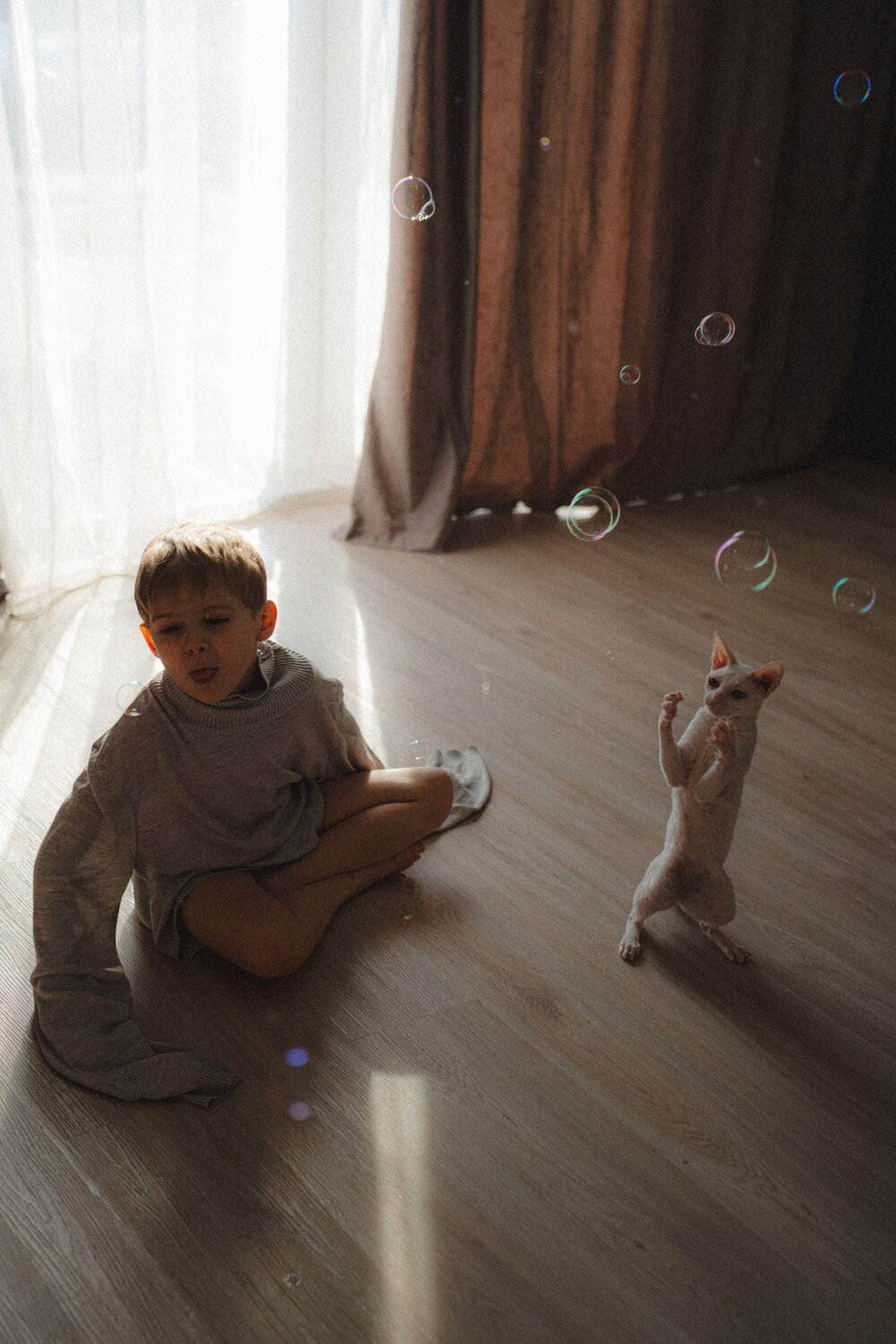 Photo #11810985