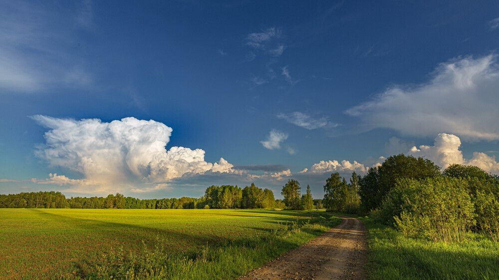 ГАРМОНИЯ ЗЕМНОГО И НЕБЕСНОГО