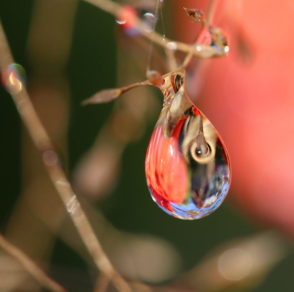 Photograph by Любовь Саханова