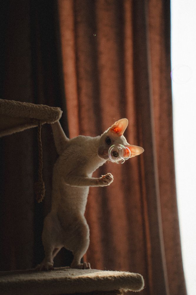 Photograph by Анна Бобкова