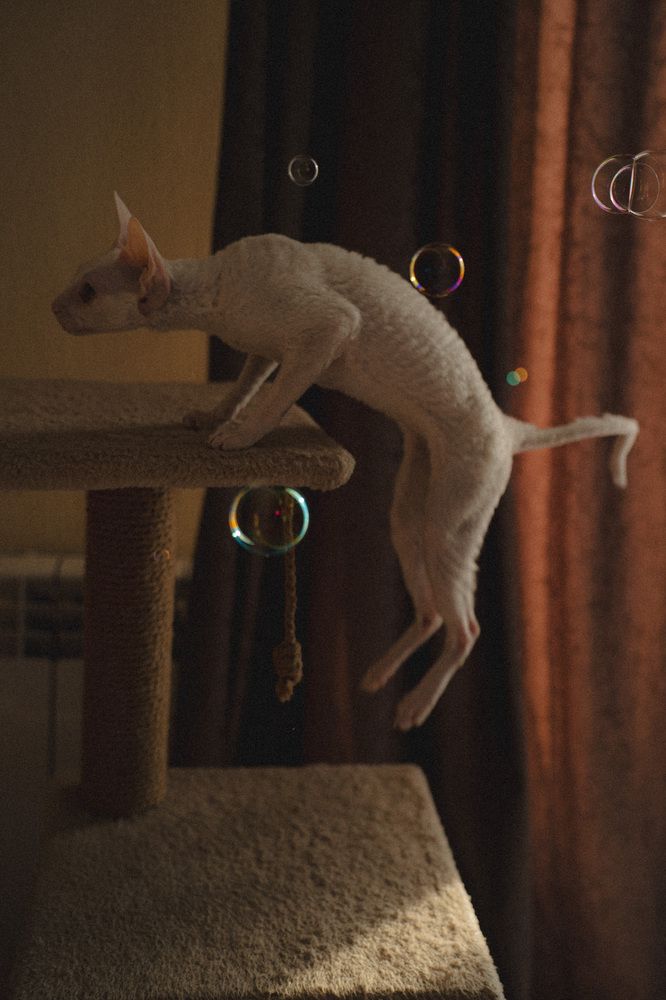 Photograph by Анна Бобкова