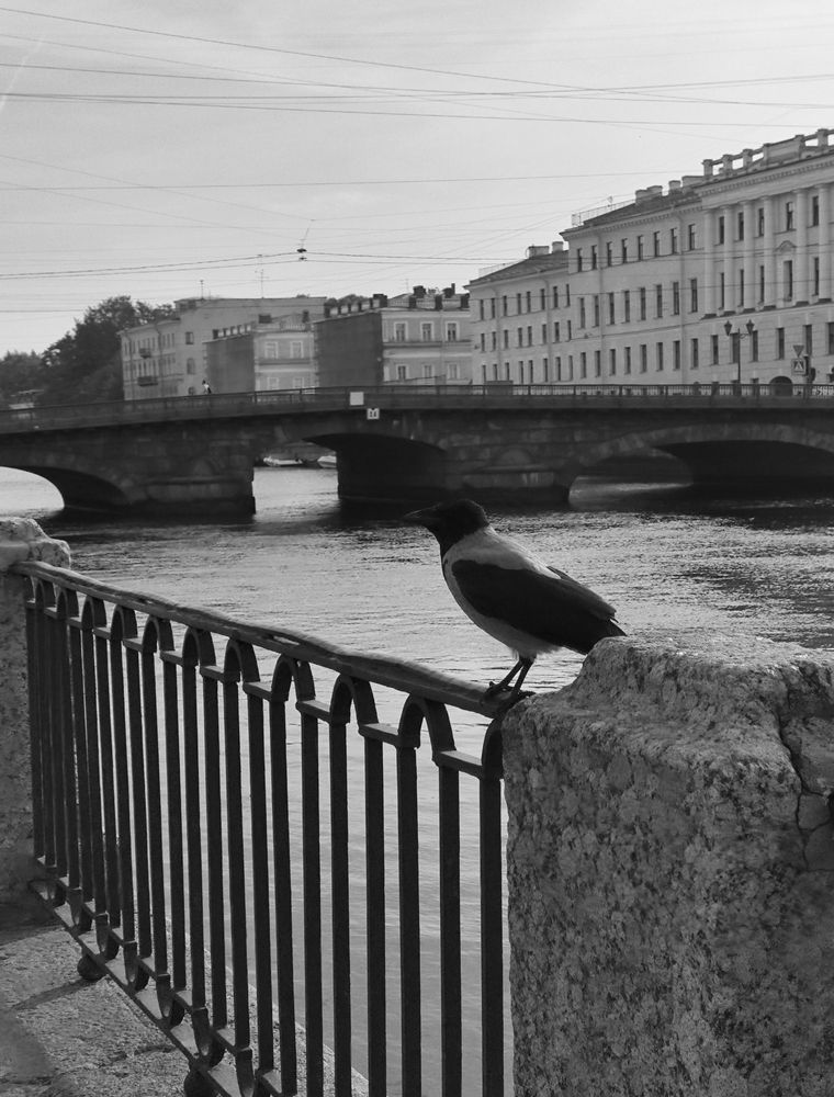 Photo #11811016