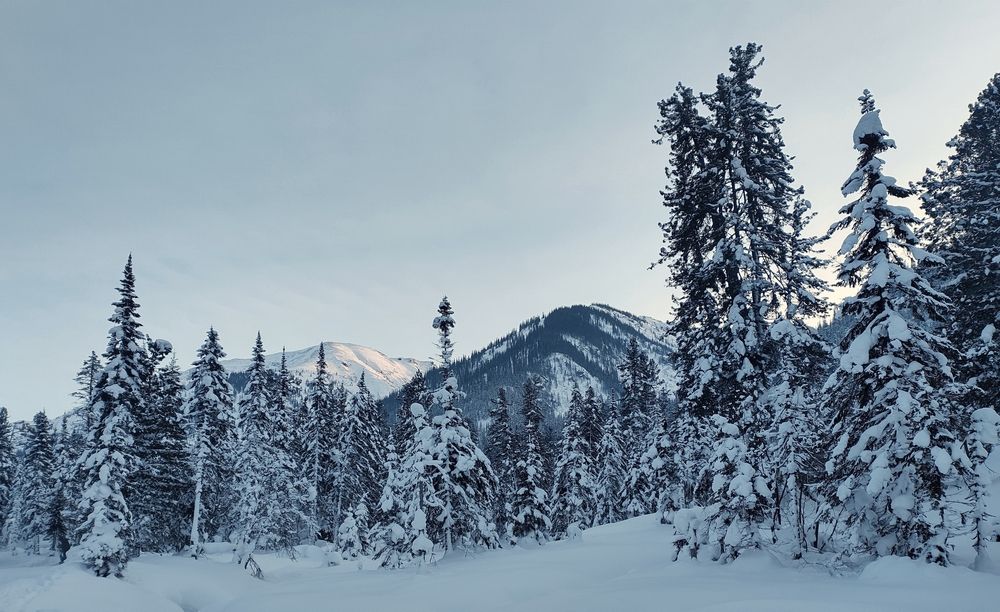 Photograph by Оксана Лоншакова