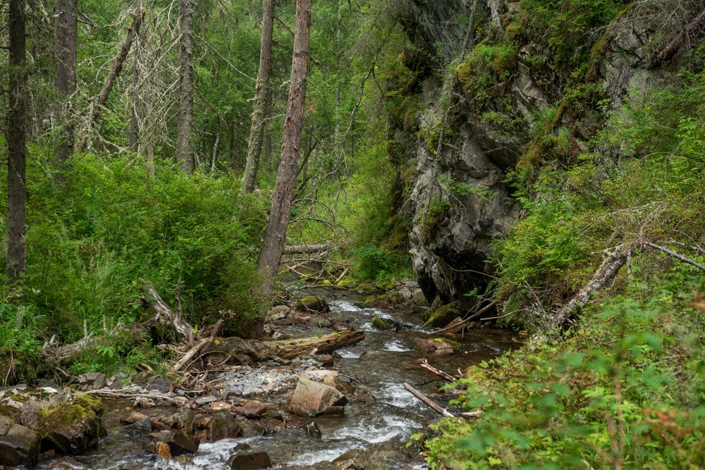 Photograph by Михаил Соколов