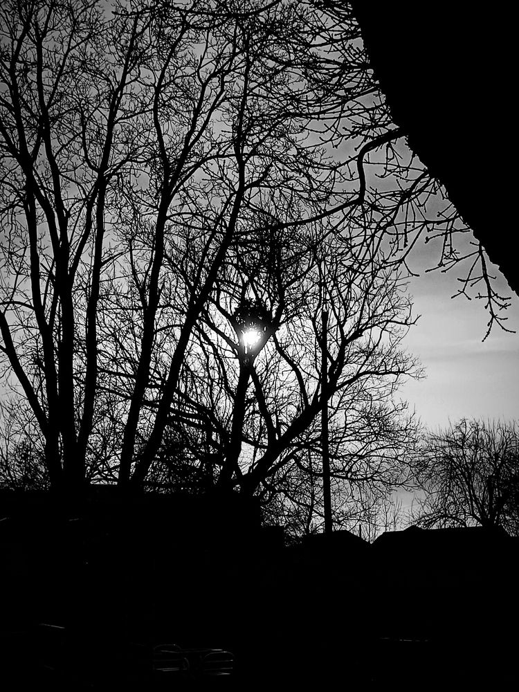 Свет пробивается сквозь тени