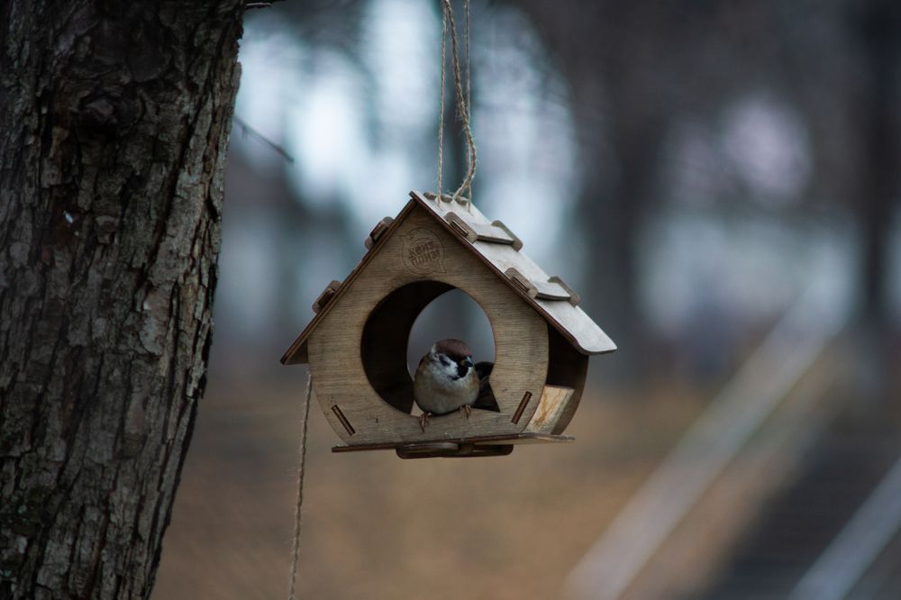 Photograph by Полина Музыченко
