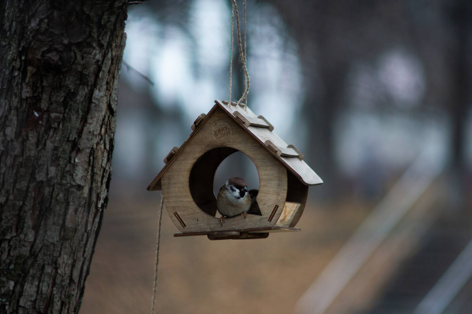 Photo #11811117