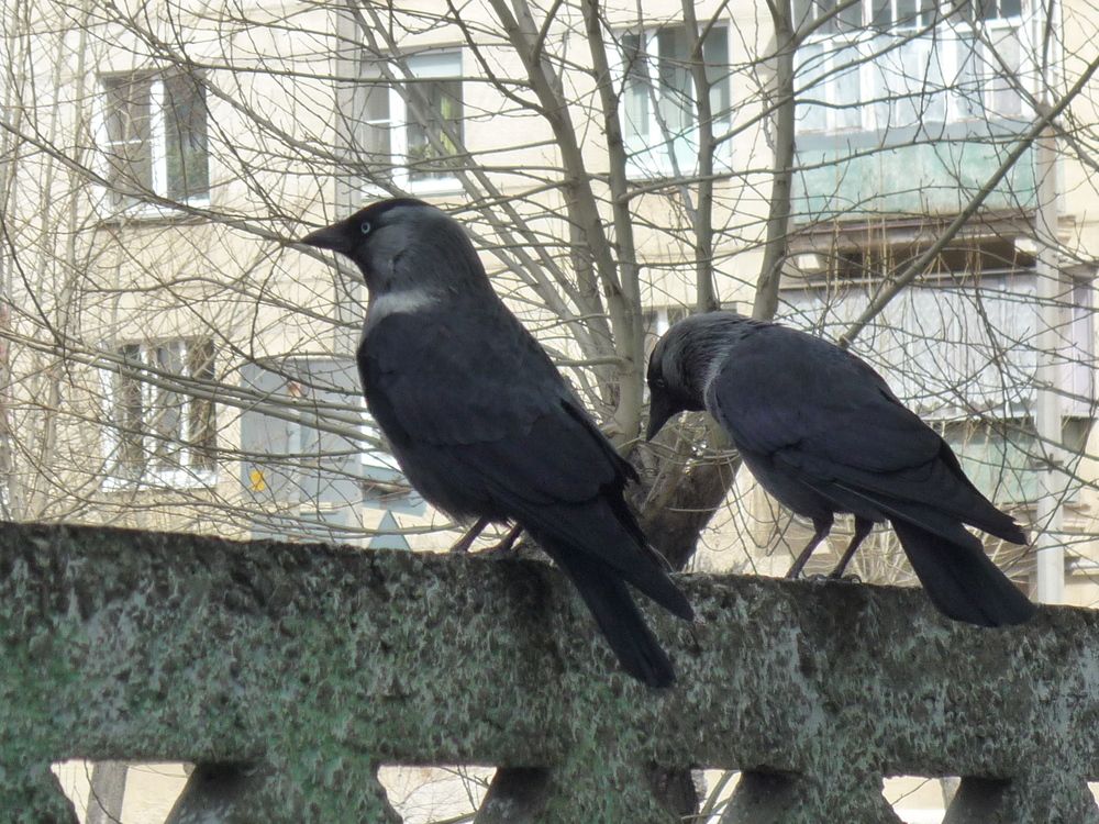 Photograph by Нина