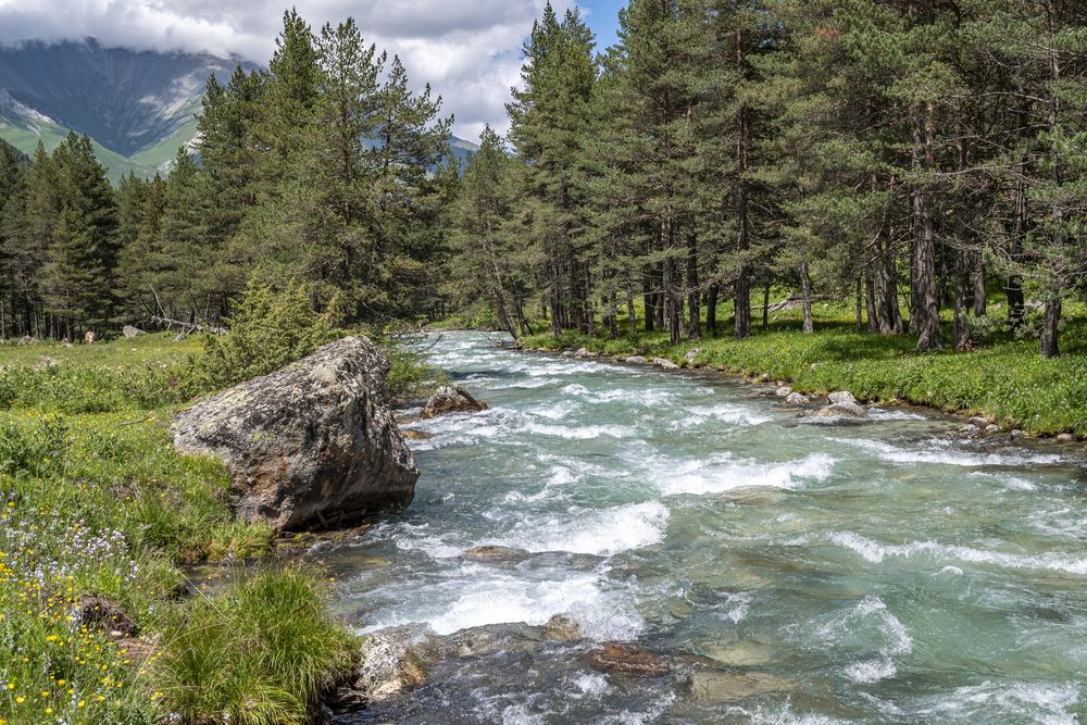 Photograph by Савчук Сергей