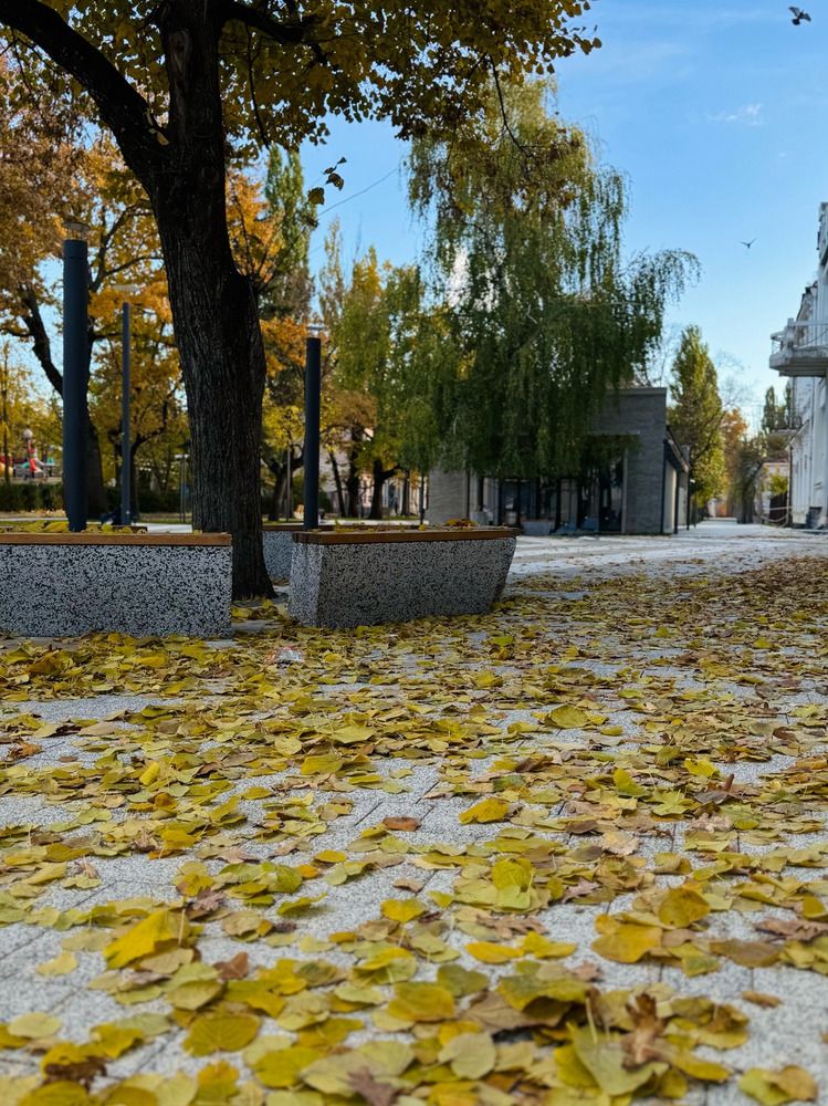 Photograph by Ксения Петриман