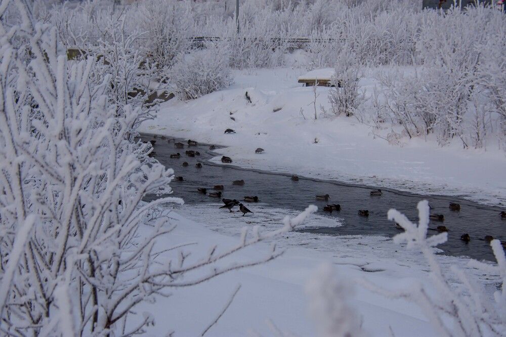 Photograph by Ирина Алексеевна Дудаль-Вологодская