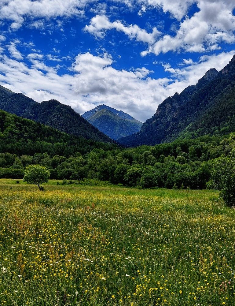 Photograph by Ксения Петриман