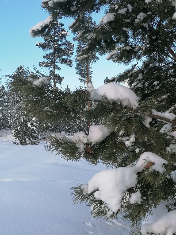 Photograph by Наталья Петухова