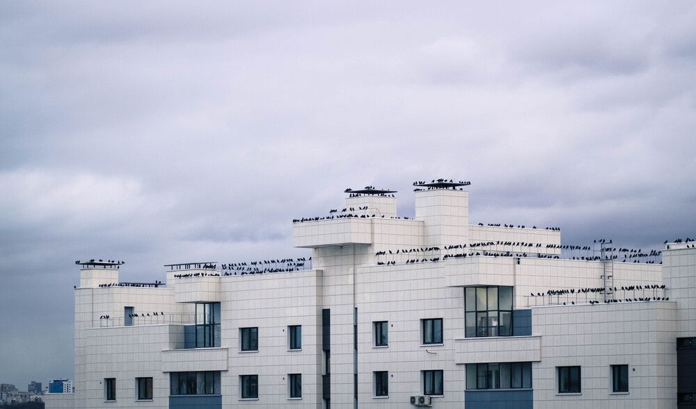 Photograph by Светлана Кавказская