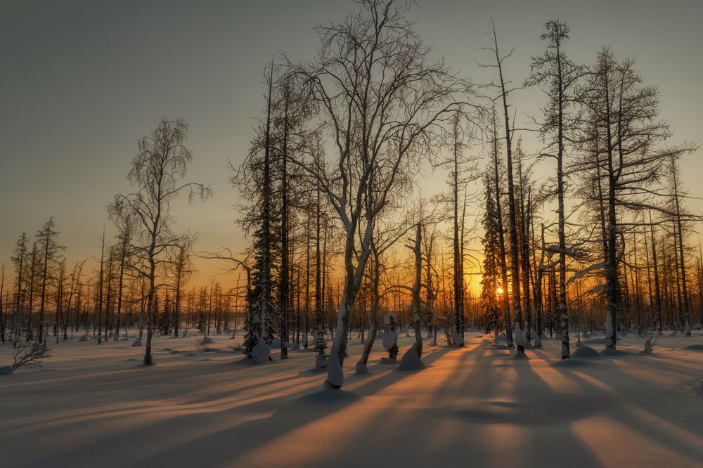 Photograph by Ирина Ульянова