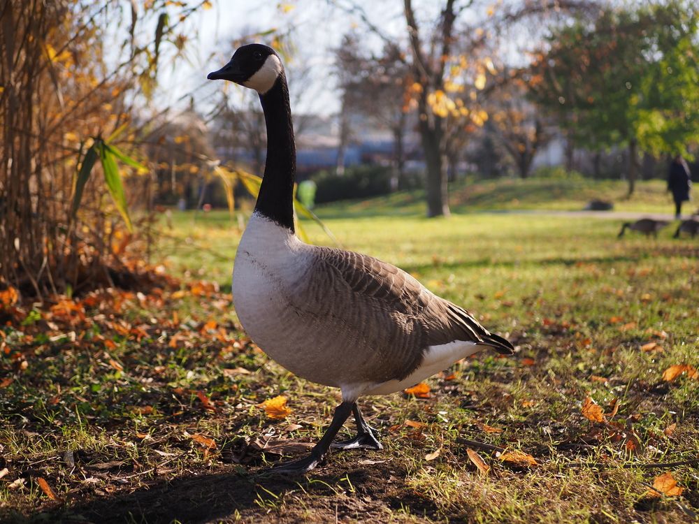 Photograph by Алексей Гнедовский