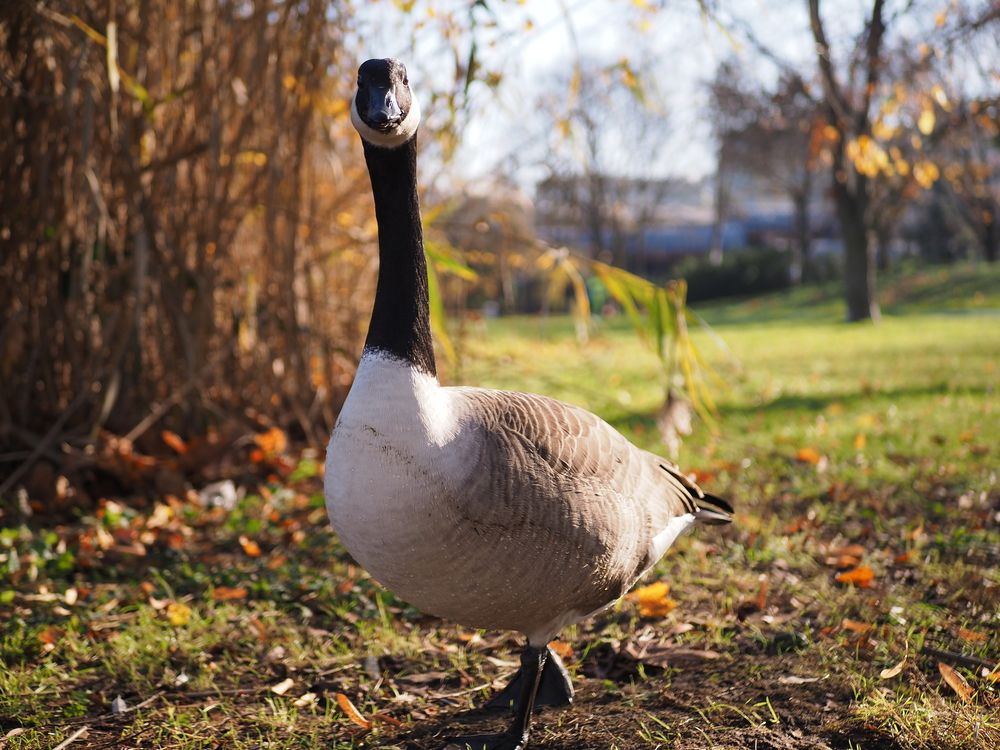 Photograph by Алексей Гнедовский