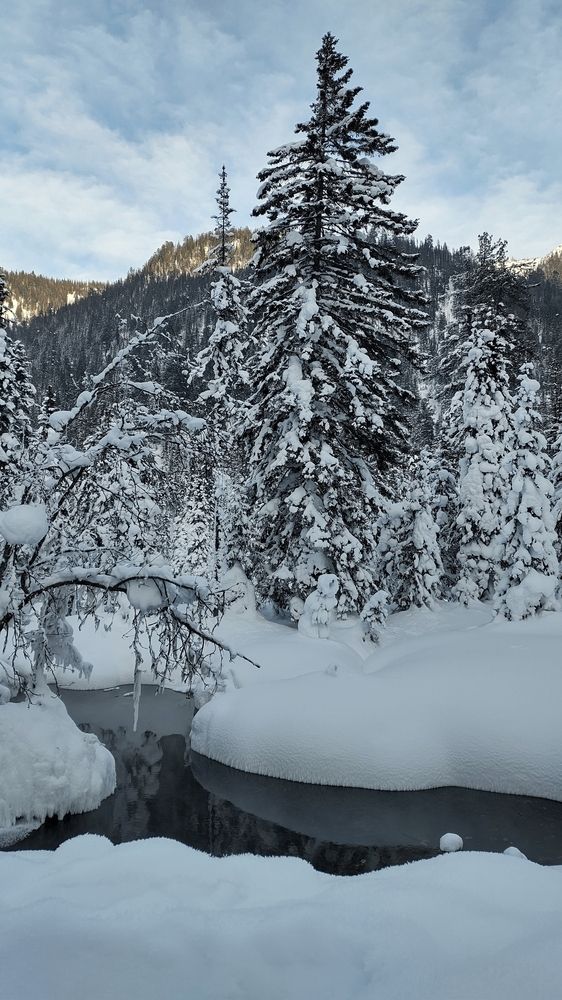 Photograph by Оксана Лоншакова