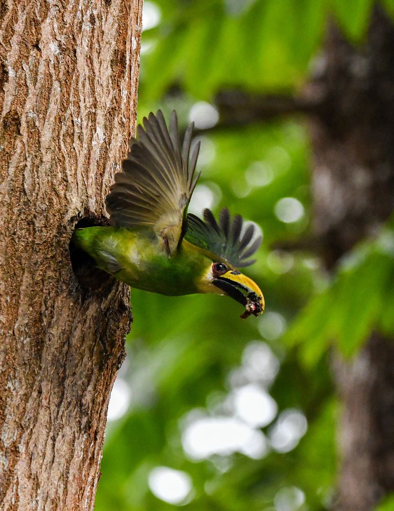 Photograph by Ricardo Ubico