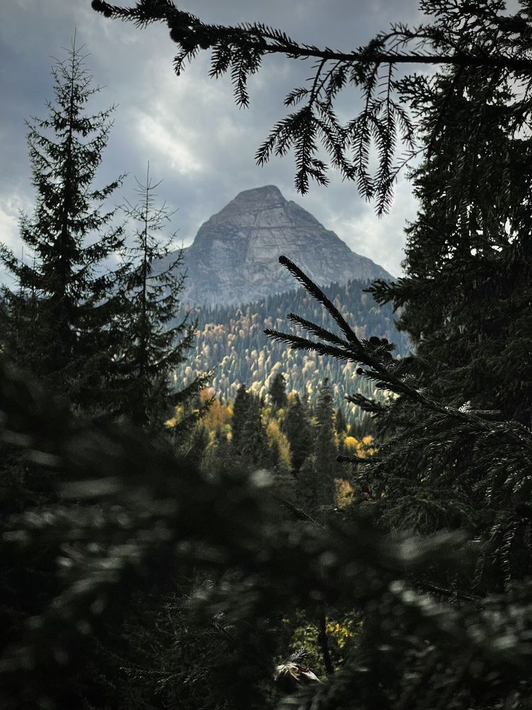 Photograph by Михаил Платковский