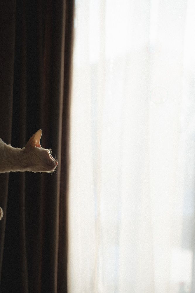 Photograph by Анна Бобкова