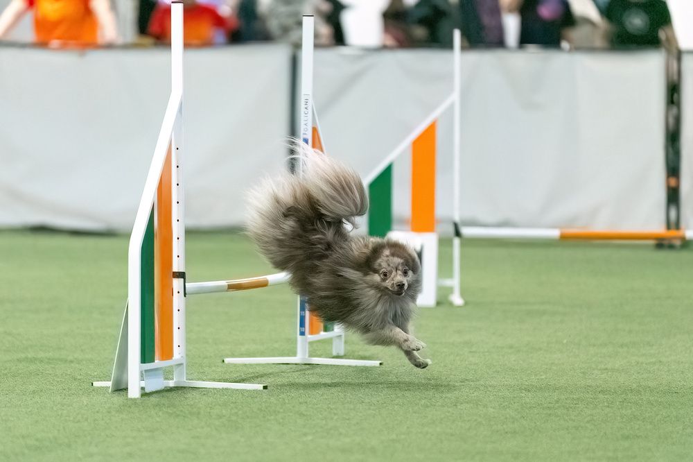 Прыжок.... еще прыжок