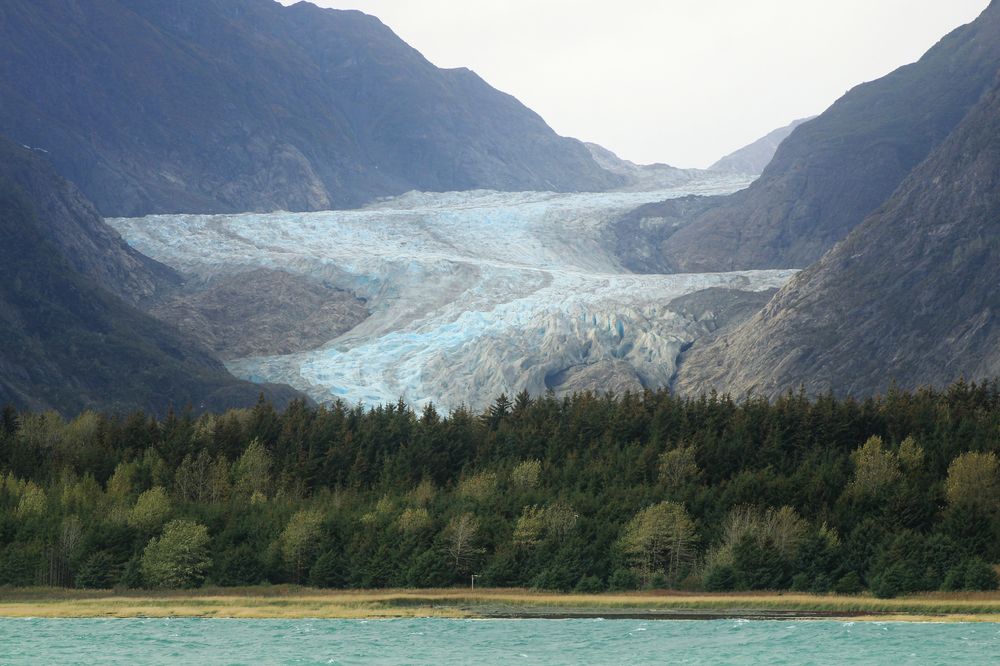 Фотография автора Яна Никольская