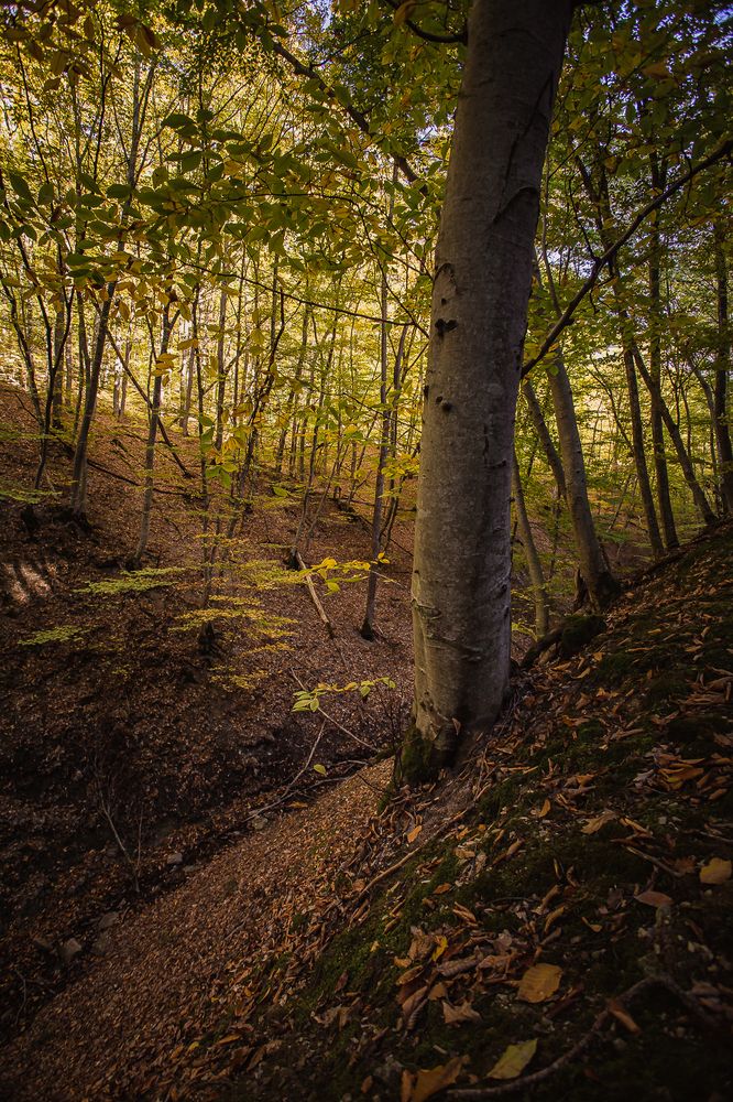 Photograph by Филипп Бабенко