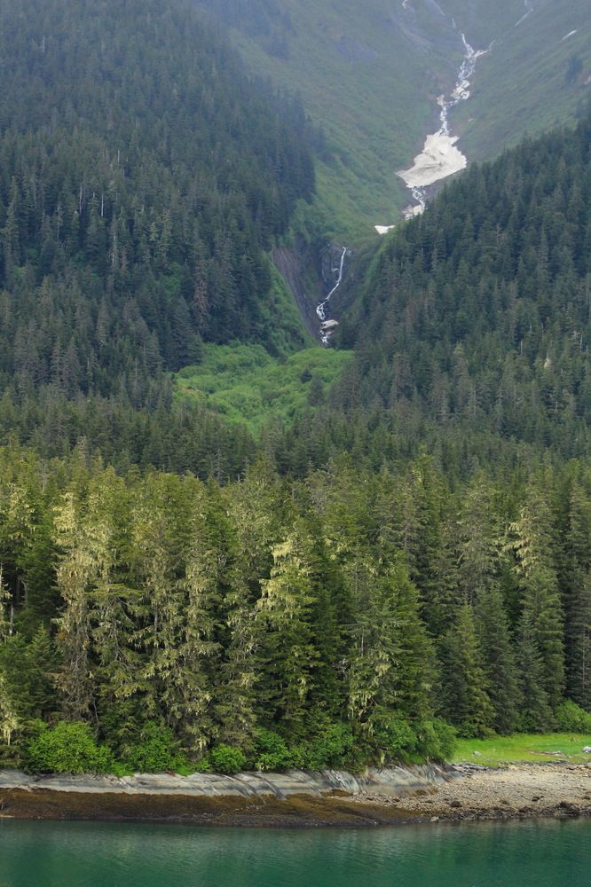 Фотография автора Яна Никольская