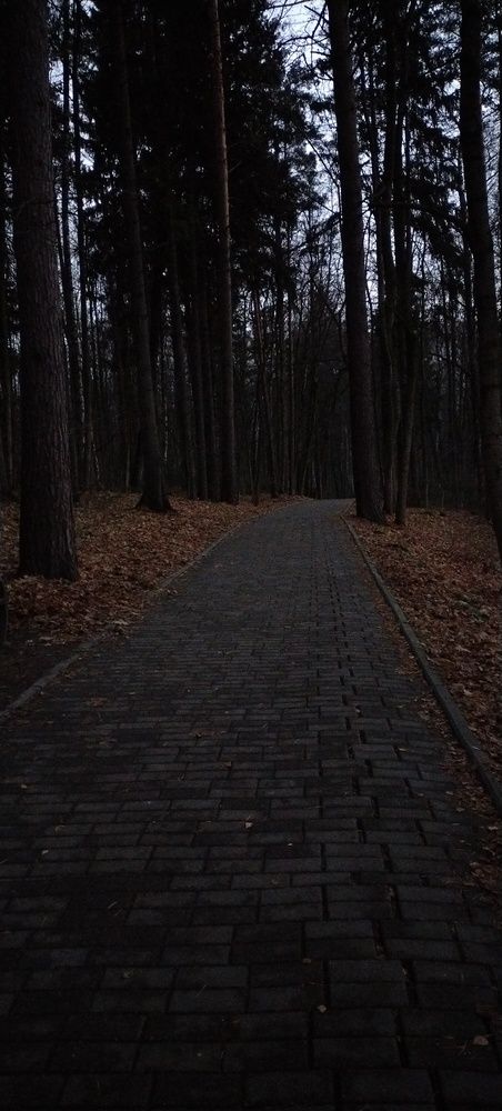 Фотография автора Людмила Волкова