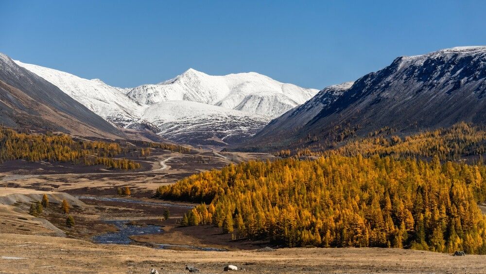 Photograph by Дубровская Екатерина