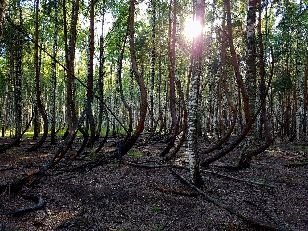 Photograph by Максим Иванов