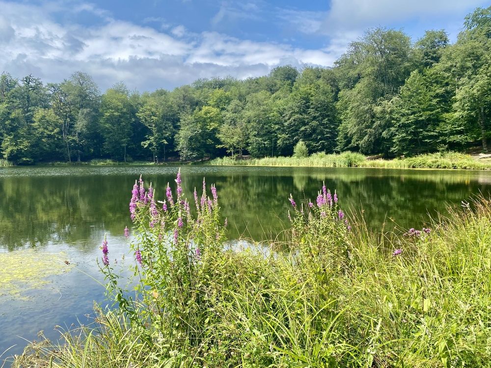 Photograph by Nune Pashayan