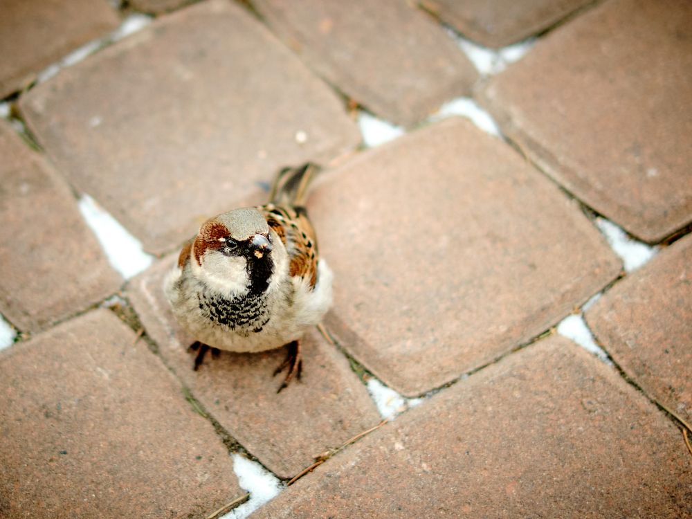 Photograph by Евгений Ласьков