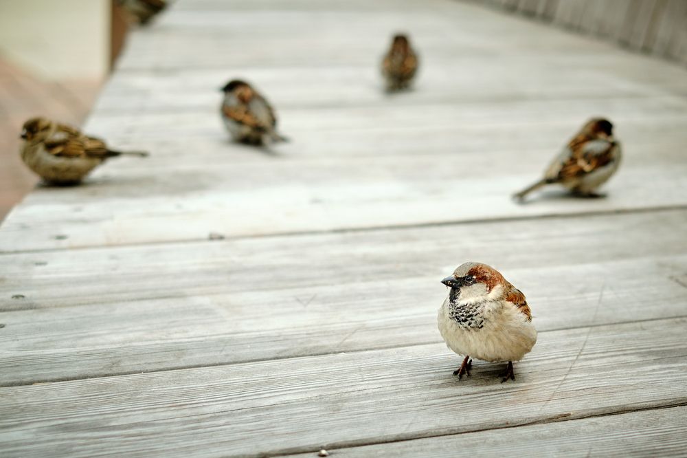 Photograph by Евгений Ласьков